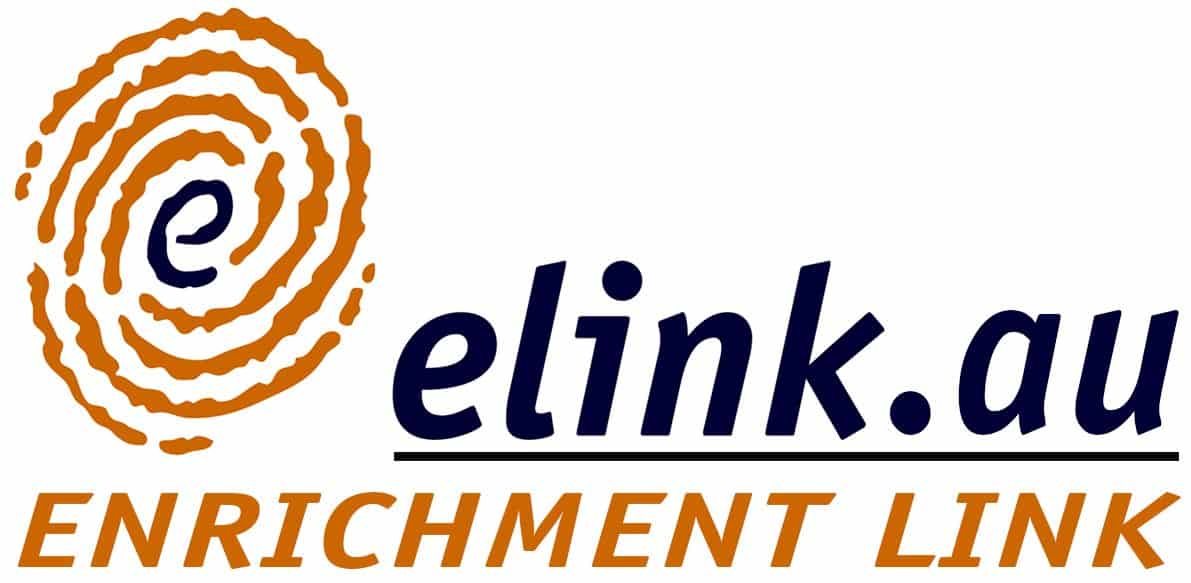 Enrichment Link
